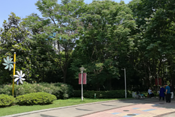 Science and Technology Innovation Award